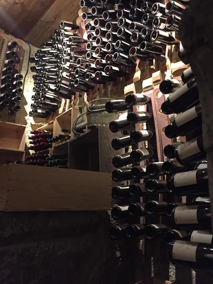 vinni touri bo franci
