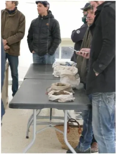 Рынок трюфелей в Карпантрасе: знакомство с торговцами